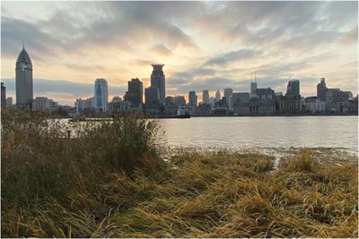 Engineering an Ecological Civilization Along Shanghai’s Main Waterfront and Coastline: Evaluating Ongoing Efforts to Construct an Urban Eco-Network
